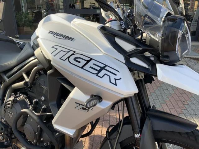 Triumph Tiger Modello XCX