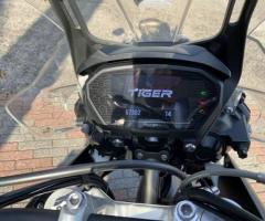 Triumph Tiger Modello XCX - 11