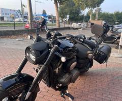 Benda Motorcycles Chinchilla 500 guidabile A2 35KW - 11